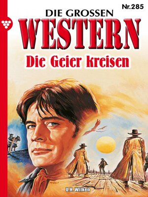 cover image of Die Geier kreisen